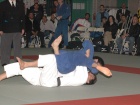 2006 Judo cover