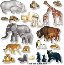 Importance and uses of some special animals in our daily life
