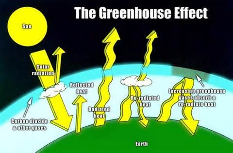 Human Activities The Greenhouse Effect