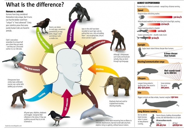Why are we superior to others? Here are the 9 Reasons That make us Superior  to Other Creatures!