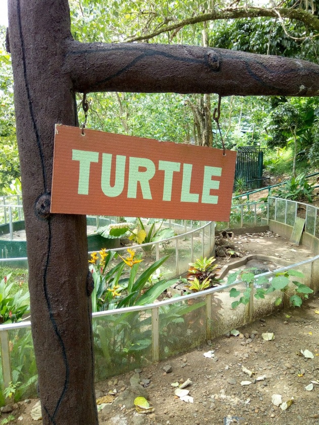 zoo_in_legazpi_city