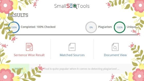 small_seo_tools_plagiarism_checker