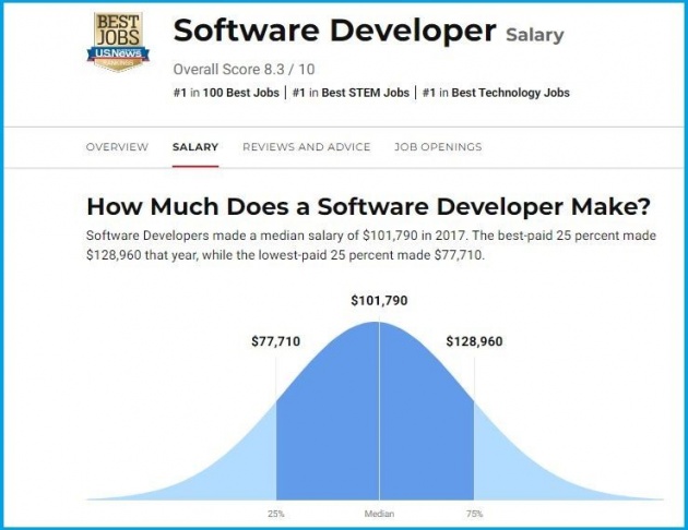 what_is_software_developer