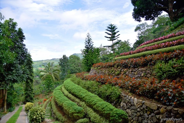 The First Flower Terraces In The Philippines