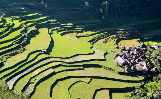 batad_rice_terraces