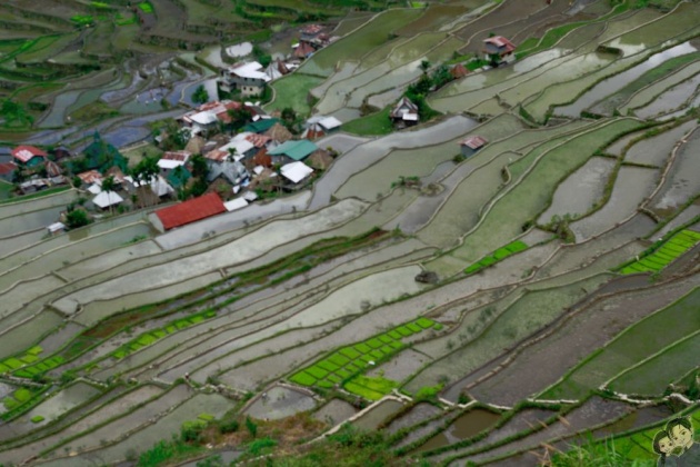 batad_ifugao