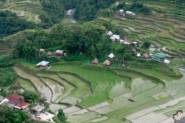 batad_rice_terraces