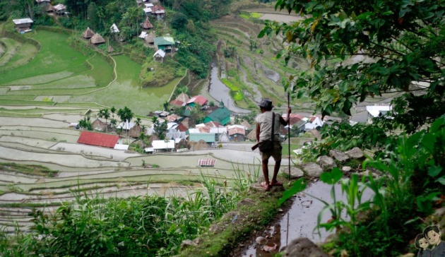 batad_rice_terraces_philippines