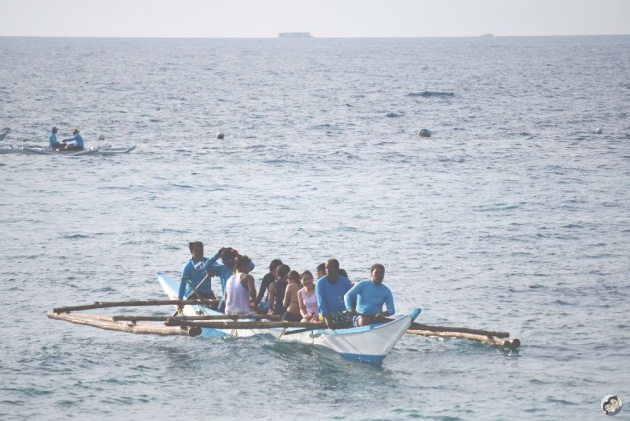 whaleshark_watching