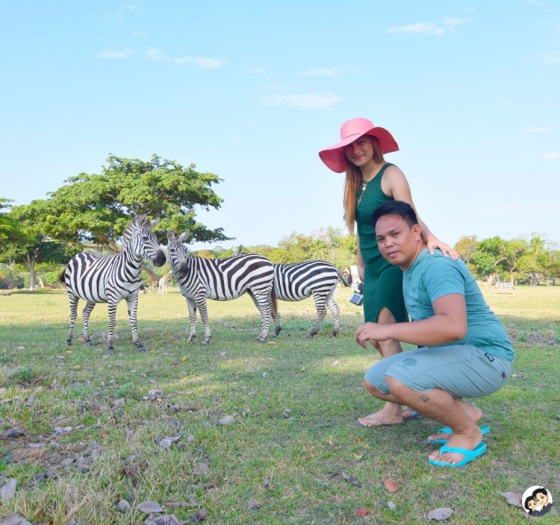 calauit_wildlife_safari_park