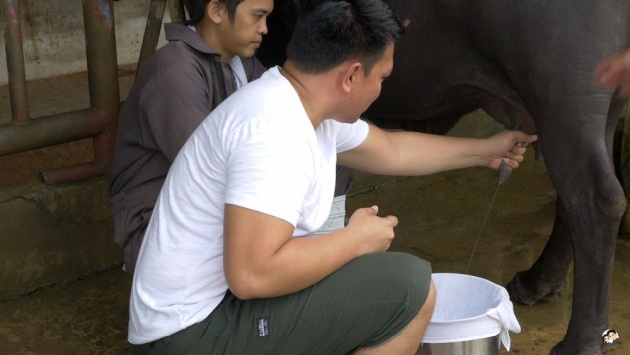 hand_milking