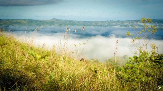 bohol_half_day_tour