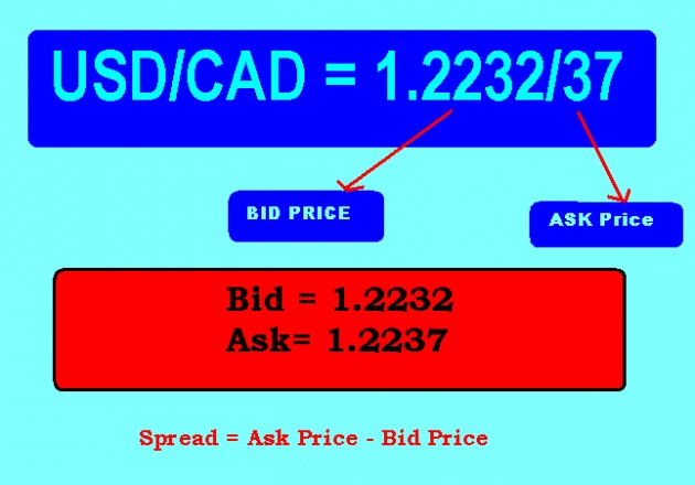 Forex basic terminology