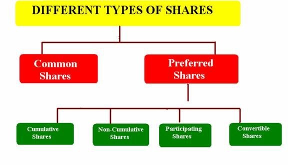 types-of-shares