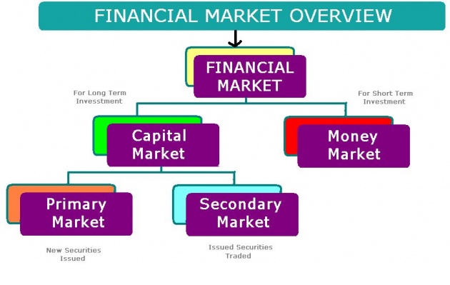 learn-how-to-invest-in-capital-market-financial-instruments