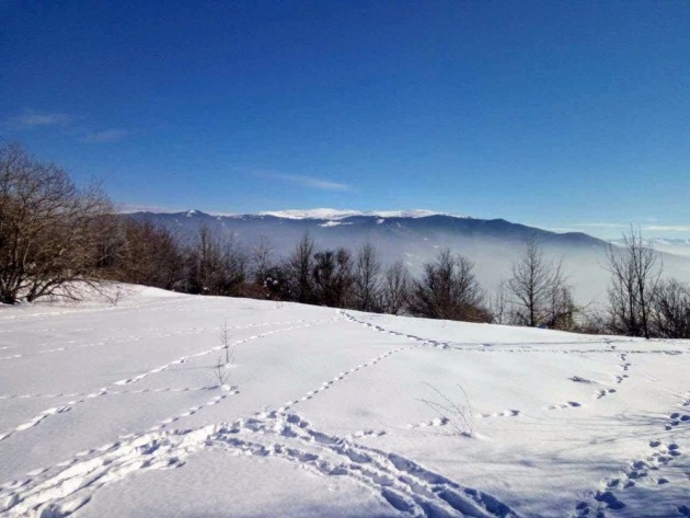 dupevitsa_peak_lyulin_mountain