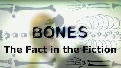 bones