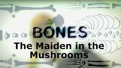 bones