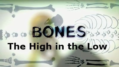 bones