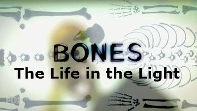 bones