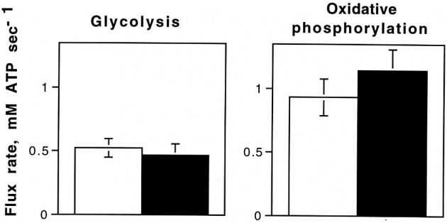 addisonsdisease