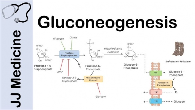 embdenmeyerof_pathway