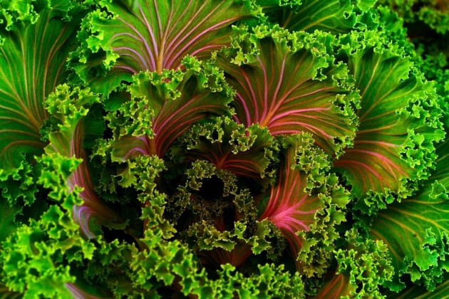 leafy_greens