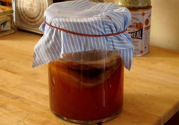 what_is_kombucha_tea