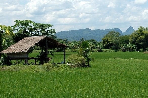 farm_workers