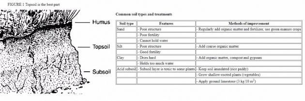 gardening_using_recycled_materials