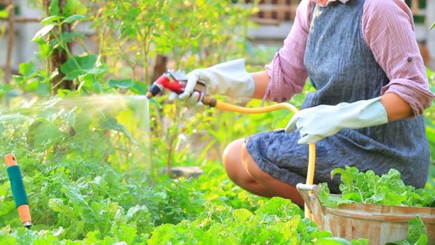 home_gardening