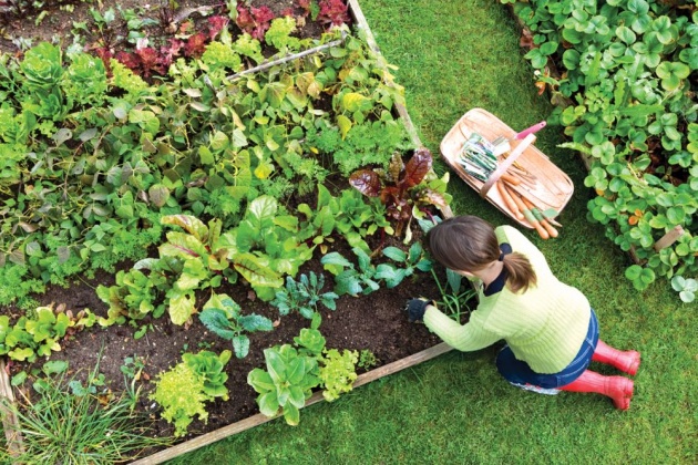 gardening