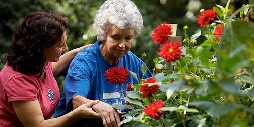 gardening_essentials