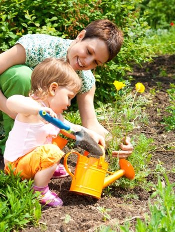 gardening_for_beginners