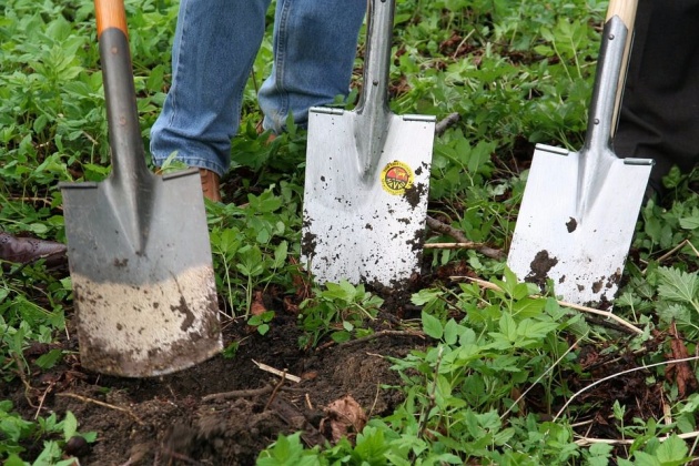 gardening_hand_tools