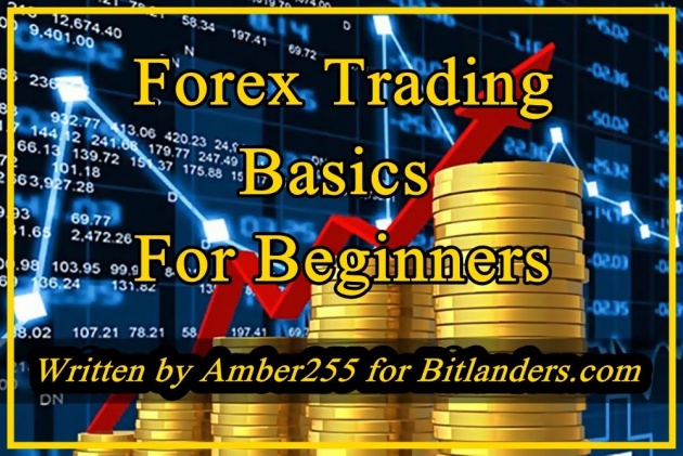 Forex Trading Basics For Beginners - 