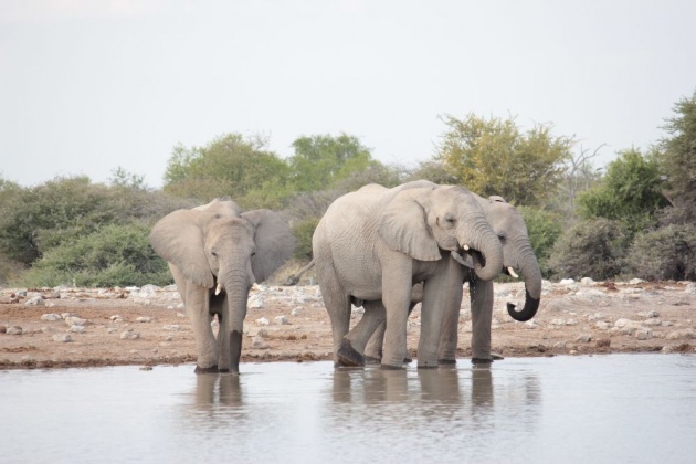 NAMIBIA