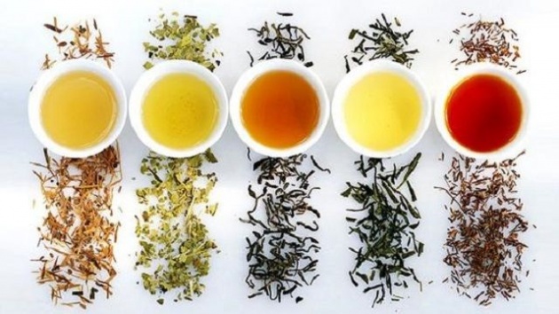 different_types_of_tea