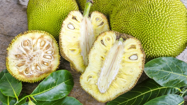 jackfruit