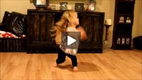 Do a little dance for Dwarfism Awareness Month (October) Smiles From