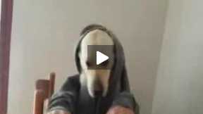 Funny Dog Eat Like Human Its Hilarious