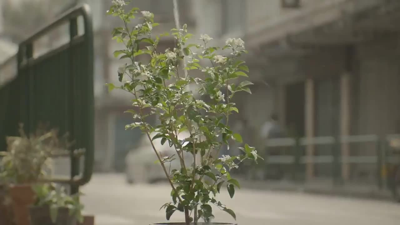 Клип добра утра
