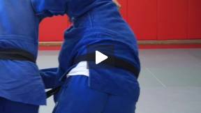 Teimoc Judo Techniques