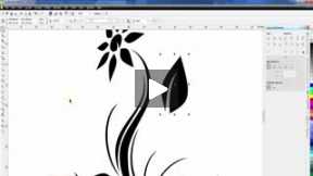 CorelDraw Tutorial_ Draw a Flower Tattoo(0)