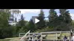 Mini Motorhorse Jousting CHALLENGE! _ Colin Furze Has A Field Day