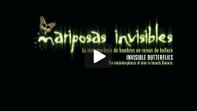 MARIPOSAS INVISIBLES (Invisible Butterflies)