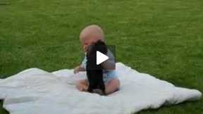 Adorable Puppy Attacks Baby