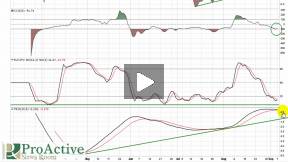 Liberty Silver Corp (LBSV.OB) Annotated Video Chart 