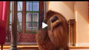 “The Secret Life of Pets” Movie Review