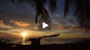 Lagunde Beach -  Oslob Cebu